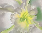 Georgia O'Keeffe An Orchid 1941 painting